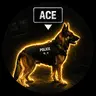 ACE