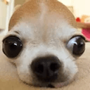 SUKI