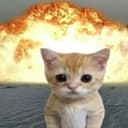 babycat