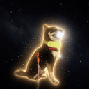Mooner Inu
