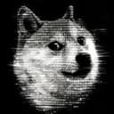 dogeus