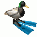 SDF