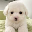 Milly