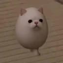 EGGCAT