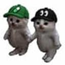 twin