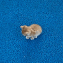 ᵐⁱⁿⁱ
