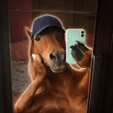 SELFIE