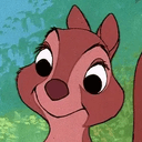 ZNUT