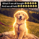Dogcore😭