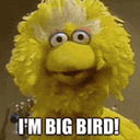 BIRD!!