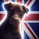 Rolo