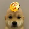 wifcoin