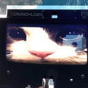 SPACECAT