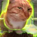 SUSCAT