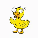 DUCKO