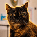 Flossie