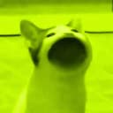 POPCAT