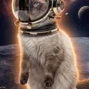 ASTRO CAT