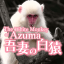 AZUMA