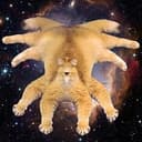 catclops