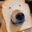 面包狗