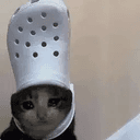 croccat