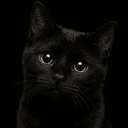 BLACKCAT