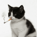CigCat