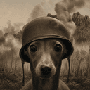 PTSD