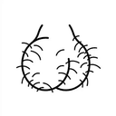 TESTICLES