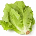 Lettuce