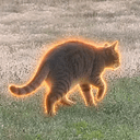 catmothy