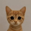 neko