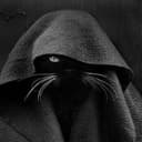 VOIDCAT
