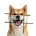 #dog