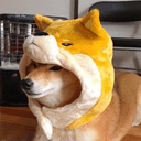 SHIB