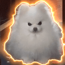 Evil spitz