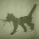 KITTY