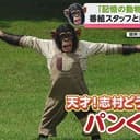PAN