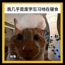 鱼烧哥