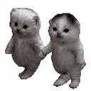 Twin