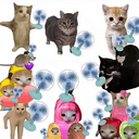 METACAT