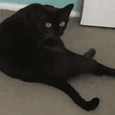 VINCENT