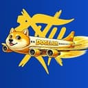 DOGEAIR