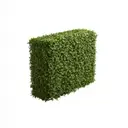 HEDGE