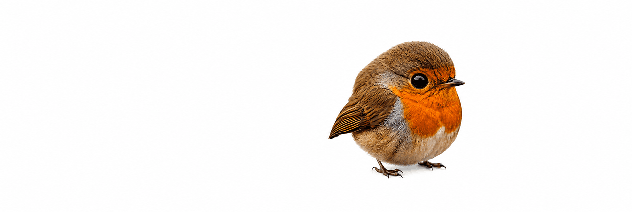 Robin Banner