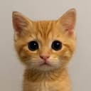 Neko
