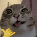 Shaka