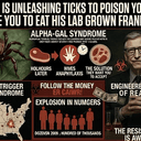 Ticks
