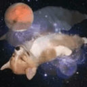 SOULDOG